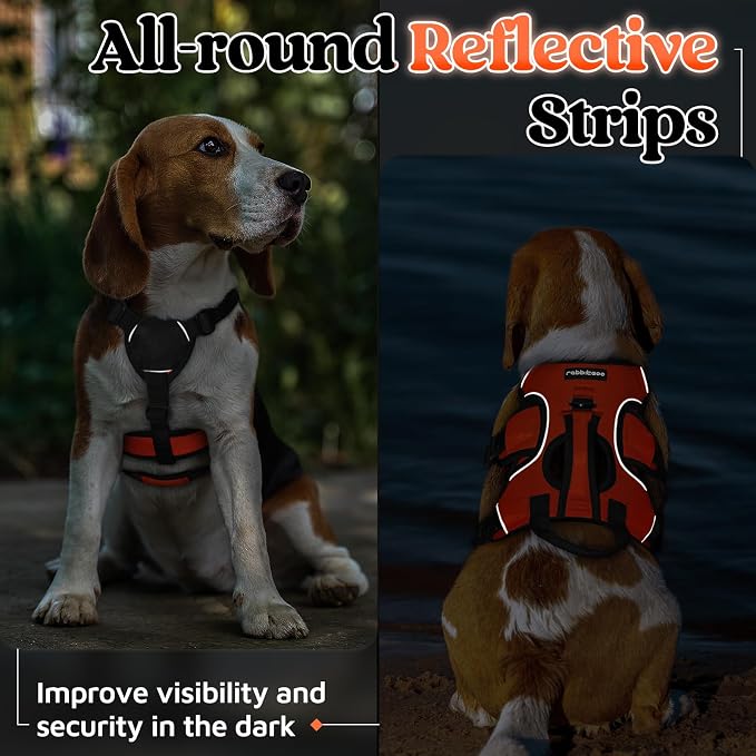 rabbitgoo Escape Proof Dog Harness for Small, No Pull with Lift Handle | No Escape, Full Soft Padded, Reflective Adjustable Vest, Leash Clip for Walking Hiking Training, Orange, Small