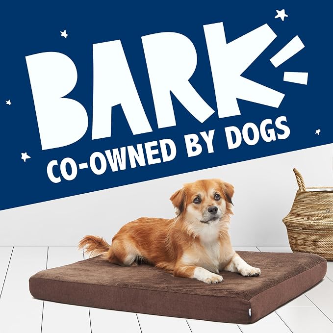 BarkBox Orthopedic Dog Bed - Medium | with Memory Foam - Comfortable, Durable & Machine Washable Pet Bed - Espresso