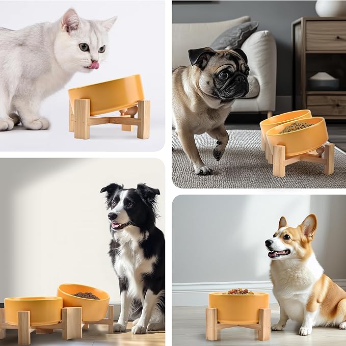 SPUNKYJUNKY 15° Slanted Ceramic Dog and Cat Bowl with Wooden Stand, Tilted Bulldog Food and Water Bowl No Slip Non-Spill for Cats Medium Dogs Big Face Pets 28.7 OZ (3.6 Cups, Yellow)