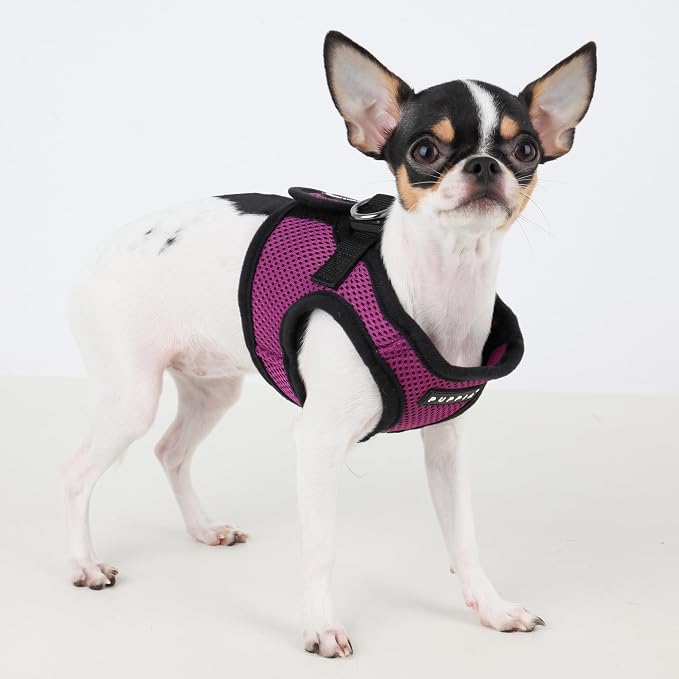 PUPPIA International Puppia Harness Soft B Vest Purple XLarge