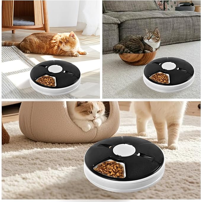 Automatic Cat Feeder, 6-Meal Timed Pet Food Dispenser, Programmable Portion Control Automatic Pet Feeder for Dogs, Dry & Semi-Wet Food, Easy-Clean Tray