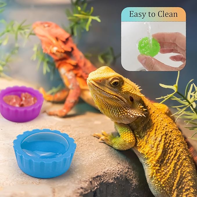 10 Pack Colorful Crested Gecko Feeding Dishes Reusable Small Reptile Food and Water Bowls Accessories for Cresteds, Tortoises, Crabs, and Small Pets10 Colors