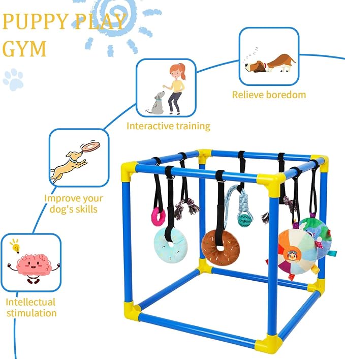 Liitrton Puppy Play Gym for Small Dogs with 8 Hanging Toys, Blue | 19.5"x19.5"x19.5" PVC Frame, Indoor Puppy Jungle Gym with Interactive Puppies Toys