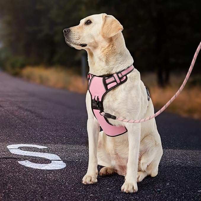 IVY&LANE No Pull Dog Harness for Small Dogs, Dog Vest Harness with Leash, Safety Belt and Storage Strap, Fully Adjustable, 360° Reflective Strip, Soft Handle (Pink, S)
