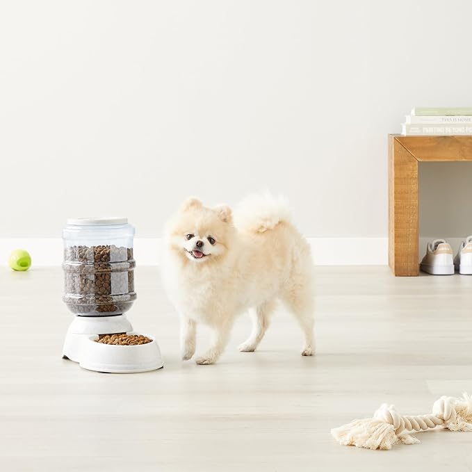 Amazon Basics Gravity Pet Food Feeder for Dogs and Cats, Easy to Clean, Easy to Fill, Removable Lid, 152fl.oz Capacity, Small