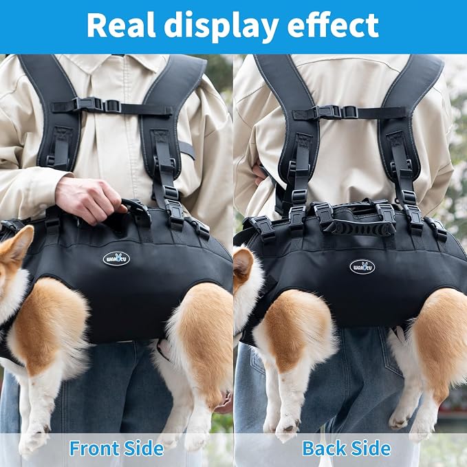 Dog Lift Harness, Pet Support & Rehabilitation Sling Lift Adjustable Padded Breathable Straps Dog Lift Harness for Dogs, Disabled, Joint Injuries, Arthritis, Loss of Stability Dogs Walk(16.5-33LBS) | Disabled, Joint Injuries, Arthritis, Loss of Stabili...