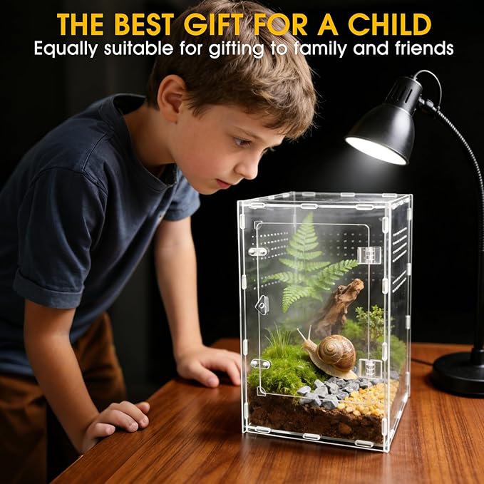 Jumping Spider Enclosure, Insect Terrarium, Bug Cage, Acrylic Terrarium for Tarantula, Snail, Praying Mantis, Frog, and Small Reptiles (7.8" x 7.8" x 13.7")