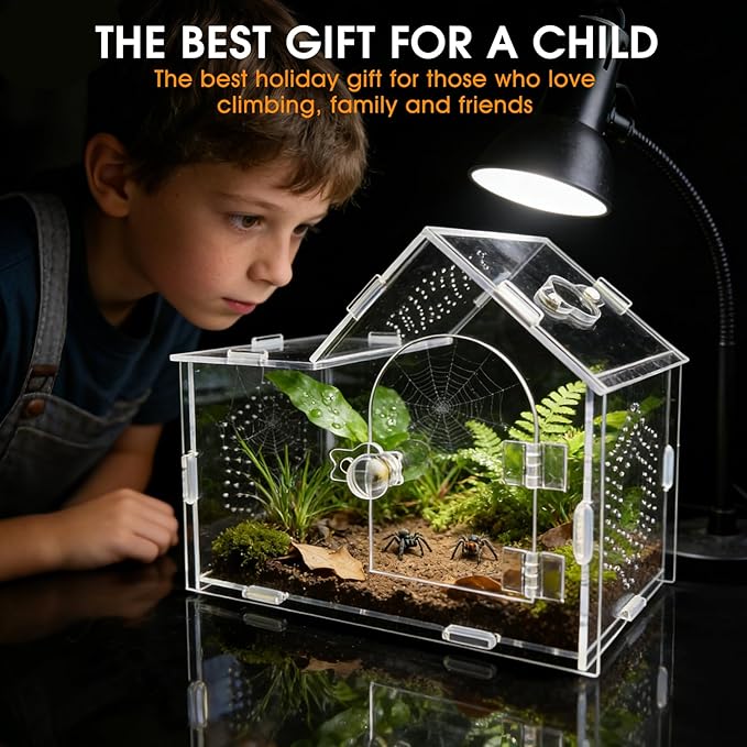 Acrylic Jumping Spider Enclosure with Magnetic Lock – Clear Ventilated Terrarium Box for Tarantulas, Geckos, Mantises, Hermit Crabs, Snails, and Other Small Pets (7.9 x 4 x 6 Inch)