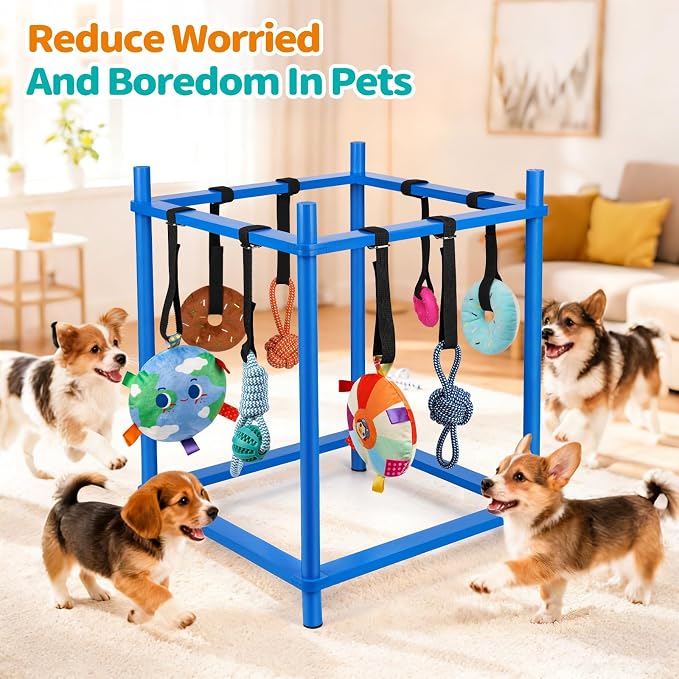 Wooden Puppy Play Gym for Small Dog with 8 Hanging Toys, Blue Frame | Wood Puppy Jungle Gym Indoor & Dog Enrichment Toys for Puppies 0-6 Months