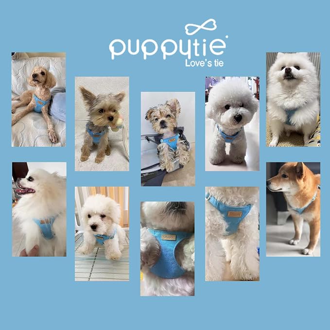 Puppytie Dog Harness with Multifunction Dog Leash,Soft Adjustable No Choke Escape Proof Pet Harness Vest,Ocean Blue,XXS