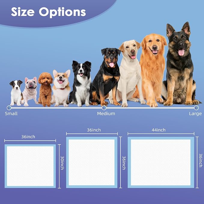 SCLOSE Extra Large Pee Pads for Dogs, 36"x36" 30 Counts Puppy Pads XL, Puppy Pee Pads Super Absorbent & Leak-Proof, Jumbo Disposable Training Pads, Wee Wee Pads for Dogs, Potty Pads, Doggy Pads