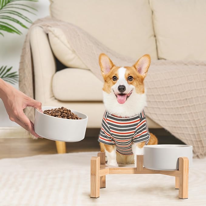 Elevated Ceramic Dog Bowl, 3.6 Cups Dog Food and Water Bowl Set with Stand | 6.1'' Double Dog Feeding Dishes, Non-Slip Raised Dog Feeder for Small and Medium Breeds, 28.74 OZ / 850 ML, White