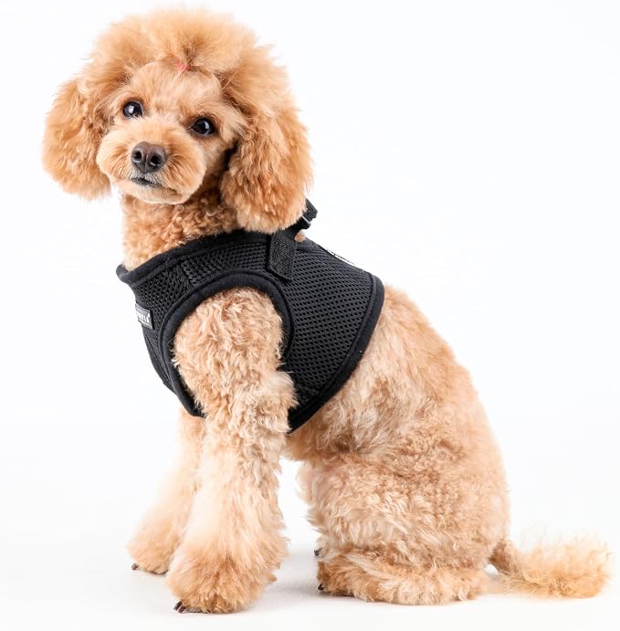 PUPPIA International Puppia Harness Soft B Vest Black Small