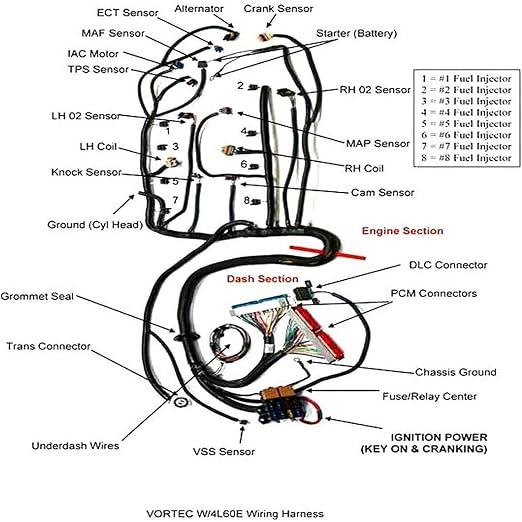 4L60E DBC LS Standalone Wiring Harness Compatible with GM LS1 1999-2006 Vortec Engines 4.8L 5.3L 6.0L Drive by Cable, with 8 Pack Fuel Injector Connector Adapter EV1 Transfer to EV6