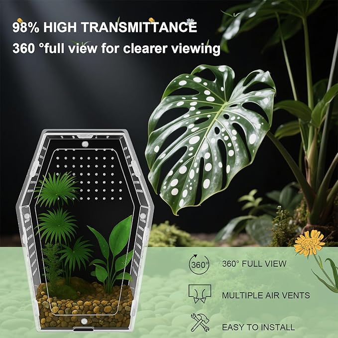 Yalikop Acrylic Jumping Spider Habitat Versatile Reptile Enclosure Transparent Insect Terrarium Habitat for Spiders, Tarantula, Gecko, Chameleon, Beetle, Mantis, and Hermit Crab(Black and Clear,L)