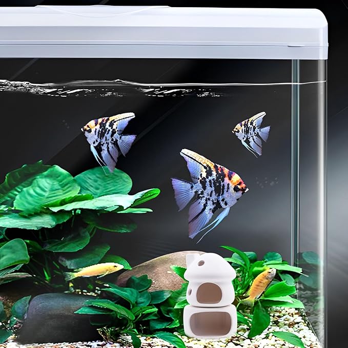 Ceramic Mushroom with Betta Hideout Cave Aquarium Decorations, Cute Fish Tank House with Cave Set for Amano Shrimp Cichlid Bonsai Goldfishes to Play, Hide and Rest - White
