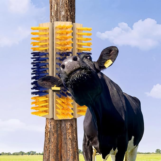 Mifoci 6 Pcs Livestock Scratching Brush Goat Scratcher Livestock Brushes, Goat Scratching Post with 24 Screws Wooden Self Grooming Brush for Small Goats, Sheep, Pigs, Cow, Horses