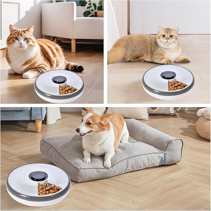 6-Meal Timed Automatic Cat & Dog Feeder with Cooling Pack, Programmable Portion Control Pet Food Dispenser for Dry & Semi-Wet Food, 12.4″×12.4″×2.99″