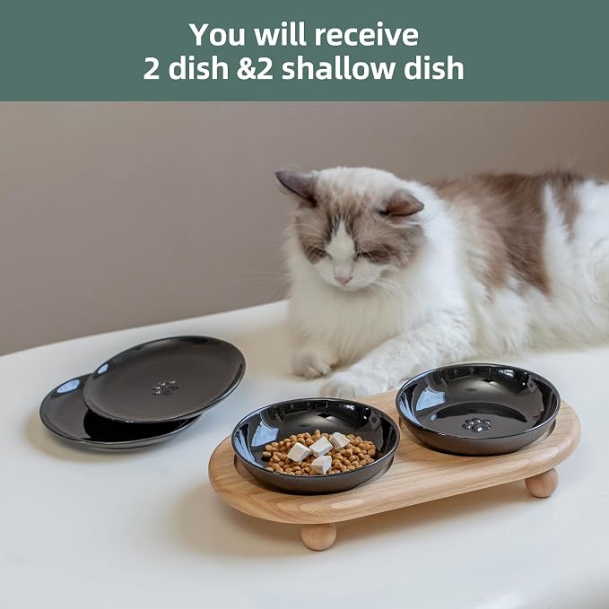 Havniva Elevated Cat Bowls, Cat Food and Water Bowl Set, Ceramic Cat Bowl | Raised Cat Food Bowls, Whisker Friendly, 5.6” Shallow Cat Dishes + 6” Wide Cat Plates, Non-Slip Wood Stand, Two Heights