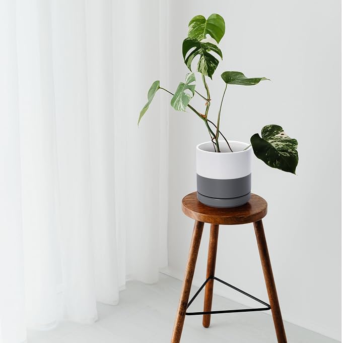D'vine Dev 6.5 Inch Ceramic Planter Pot, White/Grey, 94-O-C-6 | Modern Cylinder Design, Drainage Hole & Saucer Included, Stable Structure, Elegant Home Accent