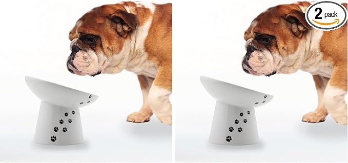 Necoichi Raised Dog Food Bowl, Elevated, for Dogs and Cats, Pets Feeding Feeder Non-Slip for Small Dogs Dishwasher and Microwave Safe, No.1 Seller in Japan! (Dog, Extra Wide Tilted) (Pack of 2)