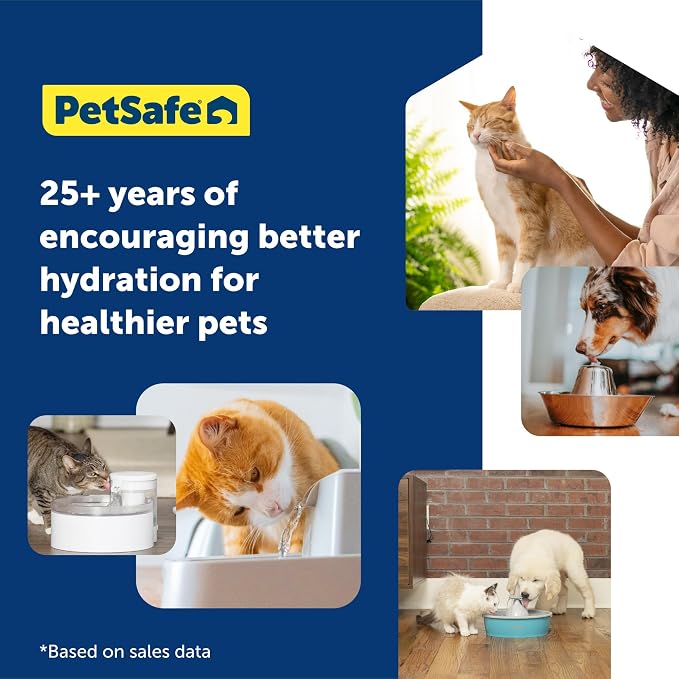 PetSafe Oasys Pet Fountain, 2 Gallon/256 oz, Dogs & Multi-Pet Homes | Adjustable Water Flow, Open-Bowl Design Keeps Water Available in Outages, Dishwasher-Safe, Filter Included
