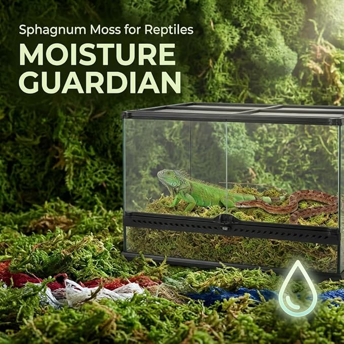 Sukh Sphagnum Moss for Reptiles -Terrarium Moss for Reptiles Peat Moss for Reptiles Habitat Bedding Moss for Snakes Turtle Frog Gecko and Other Reptiles Substrate (6.3, Ounces)