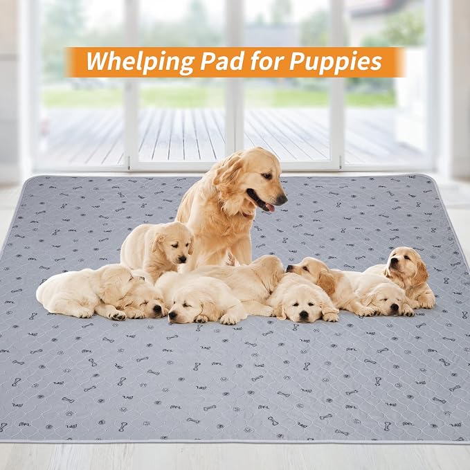 Pee Pads for Dogs Washable, Absorbent,34x52 Reusable Puppy Pads | Waterproof, Non-slip, dog Mats for Potty Training, Playpen, Crate, Senior Dog Incontinence, Housebreaking