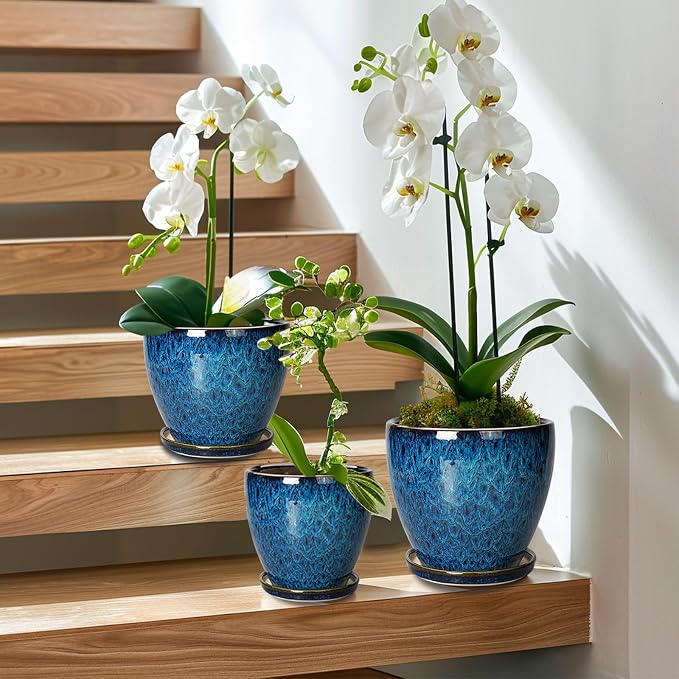 Ceramic Plant Pot, 6.3 Inch Ceramic Planter Pot with Drainage Hole and Saucer, Succulent Round Flower Pot for Indoor Plants Outdoor, Blue