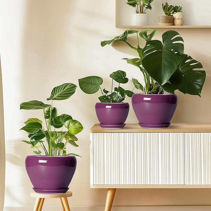 Ceramicfor Ceramic Pots for Plants 6 Inch - Ceramic Plant Pots with Drainage Hole and Saucer, Glaze Round Planter for Succulent Plants, Gifts for Plant Lovers, Garden Home Decor, Purple