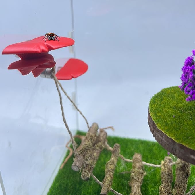 Jumping Spider Mushroom Shelf, Magnetically Concealed Jumping Spider Habitat,Serves As Enclosure Decorate Accessories for Spider Climbing Feeding and Platforms (Red)