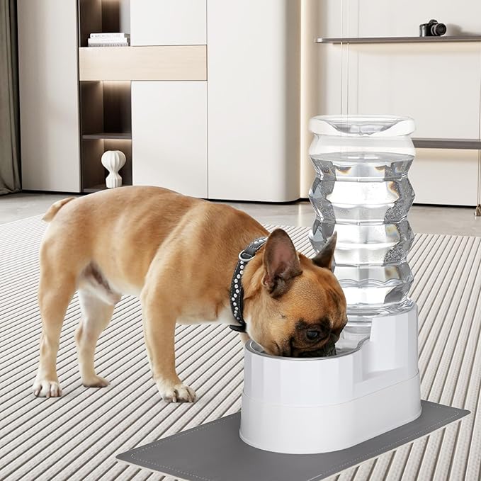 Distributeur d'eau automatique pour animaux RIZZARI, distributeur d'eau en acier inoxydable par gravité, 100 % sans BPA, grand abreuvoir pour chats et chiens de petite et moyenne taille (8L, blanc vif)