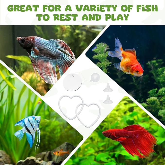 2 Pcs Betta Fish Exercise Love Ring & Betta Mirror, Betta Enrichment Toys, Betta Fish Tank Accessories, Betta Fish Toysfor Training, Play