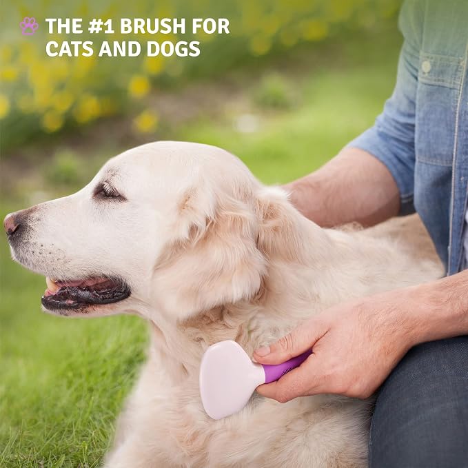 Poodle Pet Bundle - Detangling Pet Comb for Removing Matted Fur, Knots, and Tangles + Dematting Fur Rake Comb Brush for Dogs and Cats + Slicker Brush for Grooming and Deshedding Pet Undercoat Hair