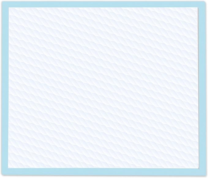 Four Paws Wee-Wee Superior Performance Dog Pee Pads, 10 Count | Quilted leak-proof puppy pads, dog housebreaking & potty training, 24-hour floor protection, pet supplies, 22" x 23"