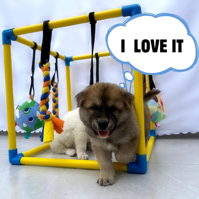 Puppy Play Gym with 8 Hanging Toys, Small Dogs Indoor Enrichment Jungle Gym | PVC Frame with Bungee Straps Playgym Activity Center,with Teething Toys,Fleece Tug Toys,Squeaky Toys,19.5*19.5*19.5in