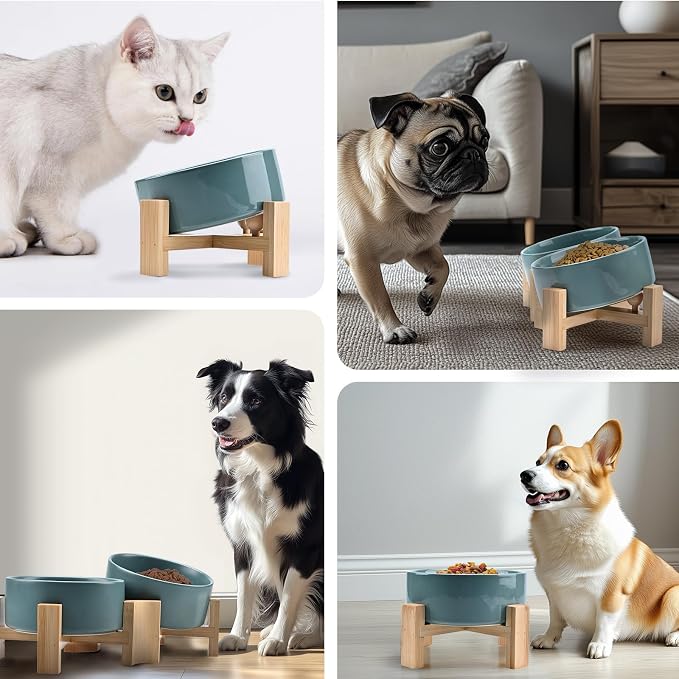 SPUNKYJUNKY 15° Slanted Ceramic Dog and Cat Bowl with Wooden Stand, Tilted Bulldog Food and Water Bowl No Slip Non-Spill for Cats Medium Dogs Big Face Pets 28.7 OZ (3.6 Cups, Light Green)