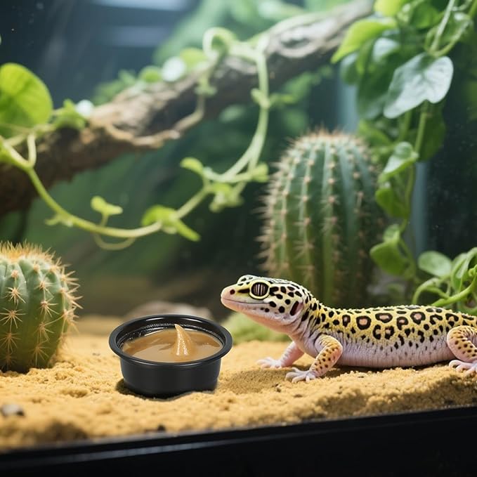 Plastic Gecko Feeding Cups, 0.5 oz Small Terrarium Bowls Reptiles Food Water Feeder Ledge Cups for Lizars,Bearded Dragon,Snake,Frogs (100Pack Black)