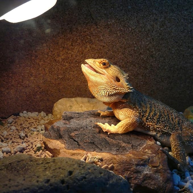 BESPORTBLE 4PCS Reptile Bark Decor Wood, Bearded Dragon Tank Accessorie Cork Hides Flats for Lizard Geckos Tortoise Terrarium Aquarium, Water Cork Tube Decor Random Shape Size 8-14cm