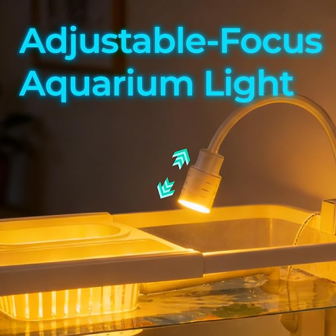 5 Gallon Fish Tank Aquarium Starter Kit with Filter and Light, All in One Small Fish Tank for Betta, Kids & Desktop Use, Self Cleaning Nano Aquarium with Lid(Large White)