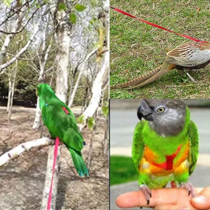Adjustable Birds Harness and Leash Parrot Harness Leash Training Supplies Pet Anti-bite Outdoor Flying Rope for Conures Budgerigar Lovebird Cockatiel Mynah (S, Red)