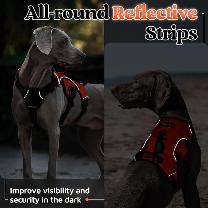 rabbitgoo Escape Proof Dog Harness for X-Large, No Pull with Lift Handle | No Escape, Full Soft Padded, Reflective Adjustable Vest, Leash Clip for Walking Hiking Training, Orange, X-Large