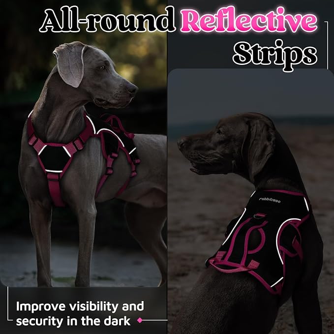 rabbitgoo Escape Proof Dog Harness for Large, No Pull with Lift Handle | No Escape, Full Soft Padded, Reflective Adjustable Vest, Leash Clip for Walking Hiking Training, Rose & Black, Large