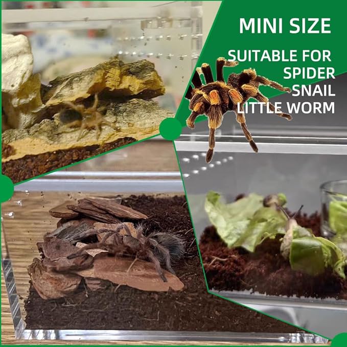 Small Acrylic Reptile Enclosure, No Assembly Small Reptile Breeding Box for Insect Tarantula Hermit Crab Jumping Spider (4x3.3X2.5 in)