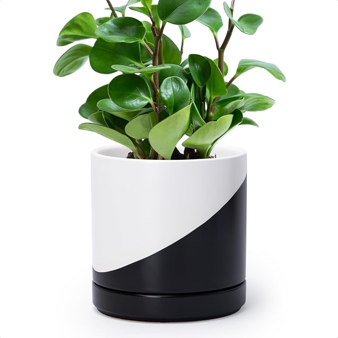 D'vine Dev 6.5 Inch Ceramic Planter Pot, Black White Diagonal, 94-O-C-K | Modern Cylinder Design, Drainage Hole & Saucer Included, Stable Structure, Elegant Home Accent