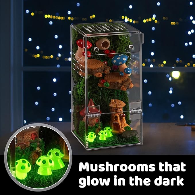 Jumping Spider Enclosure Kit Acrylic Terrarium Reptile Enclosure Accessories Insect Habitat for Mantis Tarantula Snail (Large)