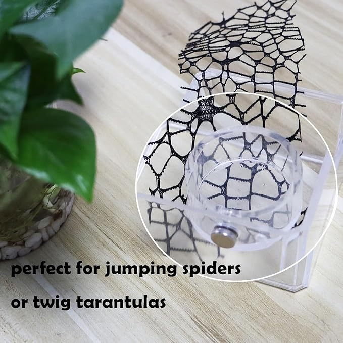 2Pcs Small Jumping Spider Feeding Dish, Magnetic Tiny Food Dishes Water Dish for Jumping Spider, Tarantula and Other Small Pets,35mm