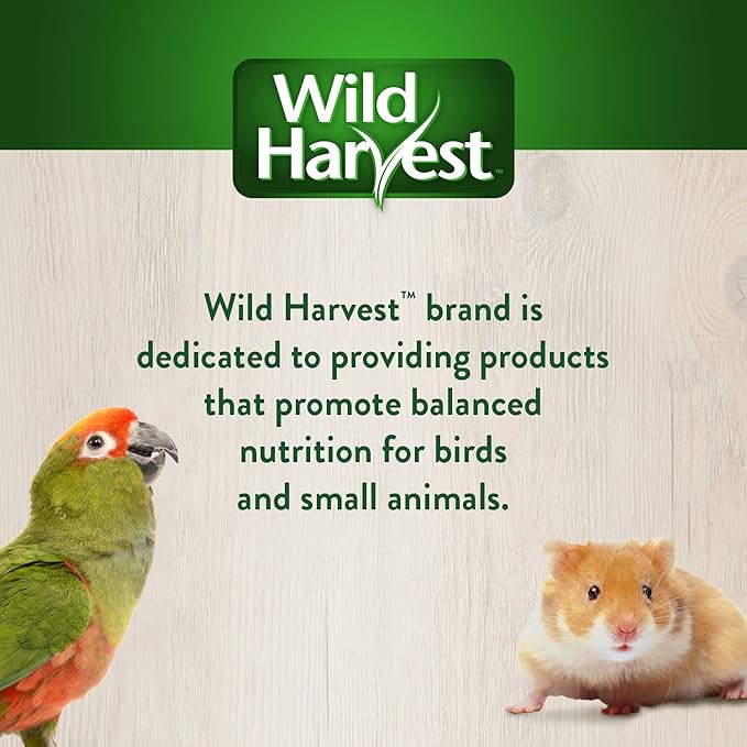 Wild Harvest Food and Unique Edible Treats for Guinea Pigs, Hamsters, Gerbils, and Adult Rabbits 2.5 Ounce (Pack of 1)