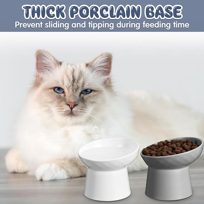 4 Pcs Ceramic Raised Cat Bowls, Elevated Tilted Cat Bowl for Food Water, Stress Free, Backflow Prevention, Dishwasher Microwave Safe, Feeder Dish for Indoor Kitten, Small Dogs(White and Grey)