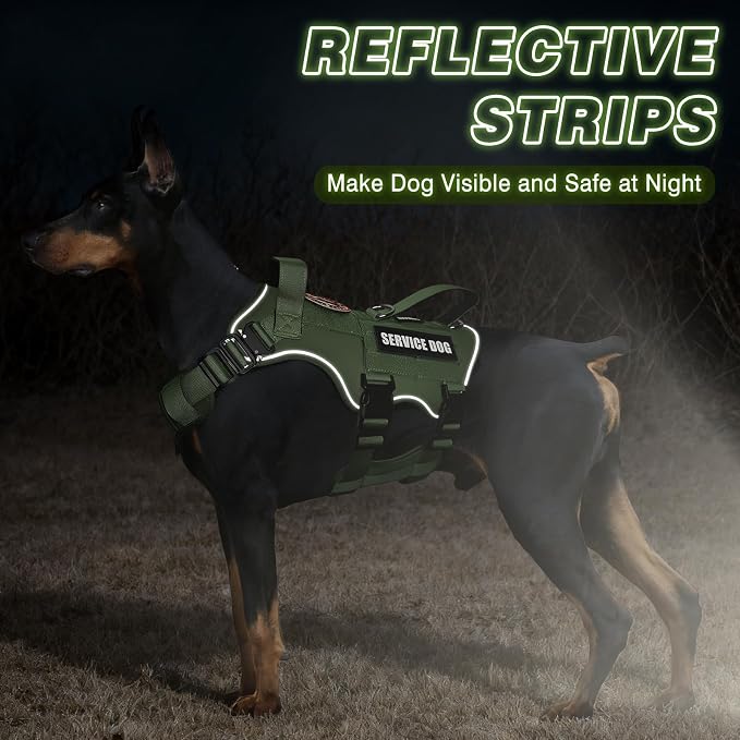 Service Dog in Training Vest and Leash Set with 10 Patches,Heavy Duty Tactical Dog Harness with Metal Buckles for Large Dogs,No Pull Easy Walking for Training Working Hiking,Green L